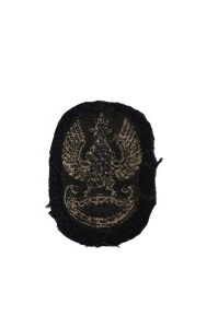 Embroidered Eagle