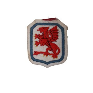 Naszywka Naramienna 7 Dywizja Piechoty
