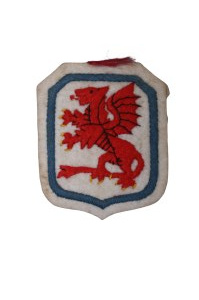 Shoulder patch 7th Infantry Division