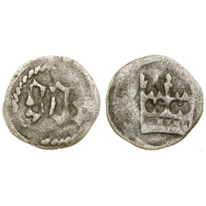 Śląsk, fenig (halerz na stopę czeską), (1482-1520), Zgorzelec