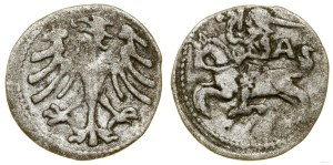 Poland, denarius, Vilnius