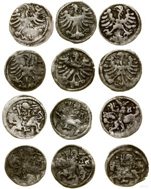 Poland, set of 6 x Lithuanian denarius, no date, Vilnius