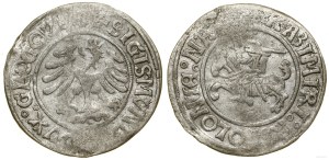 Poland, white grosz, no date (1505), Glogow