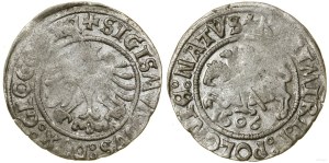Poland, white penny, 1506, Glogow