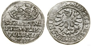Poland, grosz, 1528, Kraków