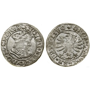 Polska, grosz, 1530, Toruń