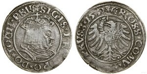 Poland, penny, 1530, Torun