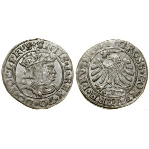 Polska, grosz, 1531, Toruń