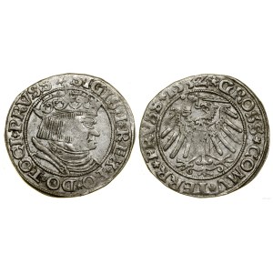 Polska, grosz, 1532, Toruń