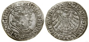 Poland, penny, 1532, Torun