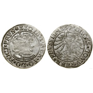 Polska, grosz, 1533, Toruń