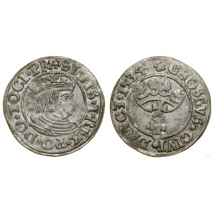 Polska, grosz, 1534, Gdańsk