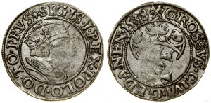 Poland, penny, 1538, Gdańsk