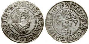 Poland, penny, 1539, Gdańsk