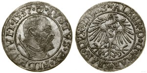 Ducal Prussia (1525-1657), penny, 1537, Königsberg