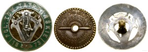 Poland, badge of the Polish Tatra Society, from 1933, Warsaw