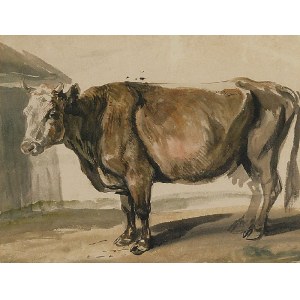 Piotr MICHAŁOWSKI (1800-1855), Krowa, ok. 1840-48 (?)