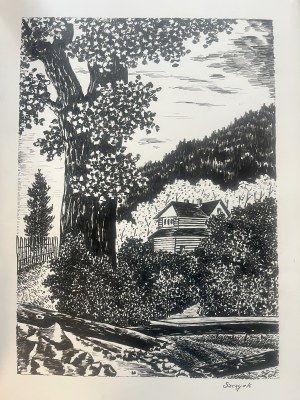 Artist Unspecified, Szczyrk