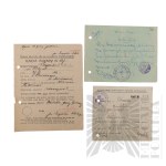 II RP - Zestaw Dokumentów z Wojewódzkiego Sanatorium dla Piersiowo Chorych w Smukale, Dotyczących Rodziny Downar.