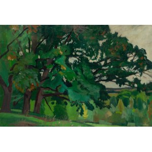 Stanislaw Czajkowski (1878 Warsaw - 1954 Sandomierz), Landscape from Ostrówek