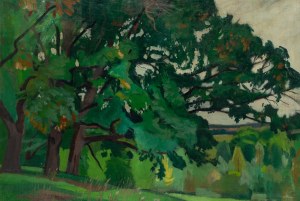 Stanislaw Czajkowski (1878 Warsaw - 1954 Sandomierz), Landscape from Ostrówek