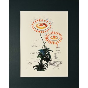 Salvador Dali (1904 - 1989), Flordali: Marguerites (Stokrotki)