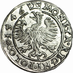 RRR-, Sigismund I the Old, Penny 1546 SS/ST, Cracow, extremely rare - Romanian R*