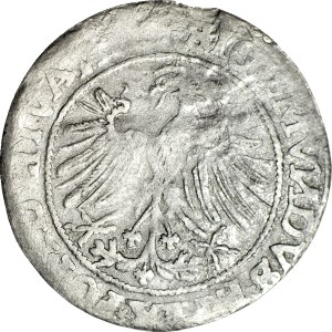 R-, Sigismund I the Old, Penny 1535, Vilnius, inverted letters N
