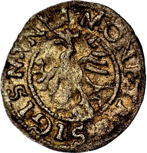 RR-, Sigismund I the Old, Ternar 1546 Krakow, R5