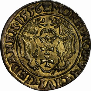 Sigismund Augustus, Ducat Gdansk 1556, old COPY