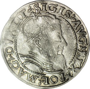 RR-, Sigismund II Augustus, Lithuanian foot portrait penny 1559, Vilnius