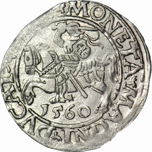 RR-, Zygmunt II August, Półgrosz 1560, Wilno, ROZETA, rzadki
