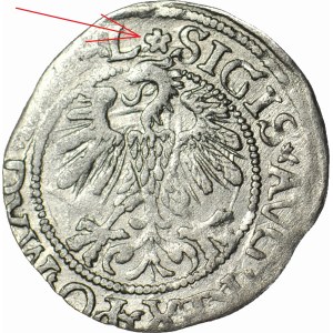 RR-, Zygmunt II August, Półgrosz 1560, Wilno, ROZETA, rzadki