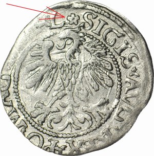 RR-, Sigismund II Augustus, Half-penny 1560, Vilnius, ROZETA, rare