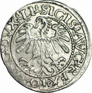 Sigismund II Augustus, Half-penny 1560, Vilnius, Li/LITVA, beautiful
