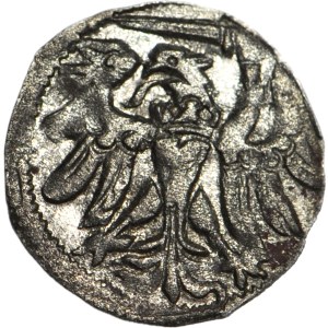 R-, Zygmunt II August Denar 1558, Gdańsk, ozdobny styl, R4