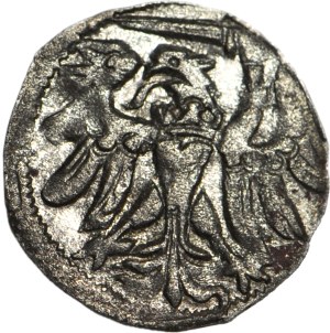 R-, Sigismund II Augustus Denarius 1558, Gdansk, decorative style, R4
