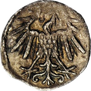 RRR-, Sigismund II Augustus, denarius 1548 Vilnius, R7