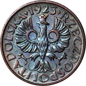 2 pennies 1923 brass, minted