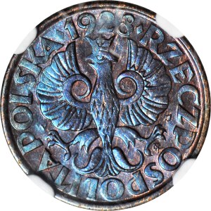 2 pennies 1928, mint, BN color