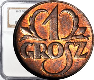 1 penny 1923, mint, BN color