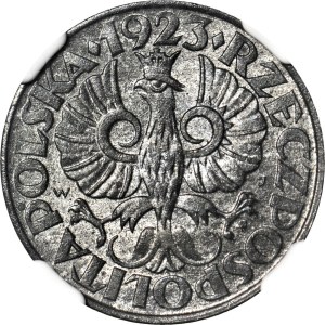 20 pennies 1923, Occupation, minted