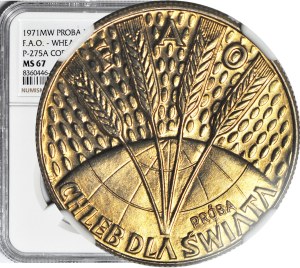SAMPLE, 10 gold 1971, FAO, mint.