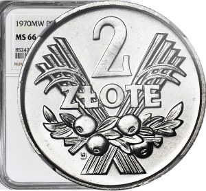 2 gold 1970s, Berry, 7 with the sharp end of the visor, EXCLUSIVE