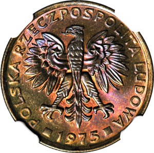 2 gold 1975, mint