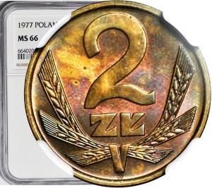 2 gold 1977, mint