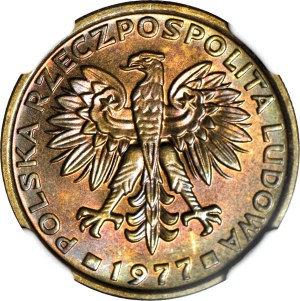 2 gold 1977, mint
