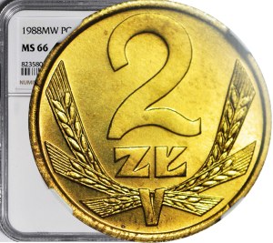 2 gold 1988, mint
