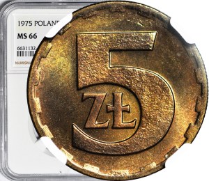 5 gold 1975, low mintage, mint