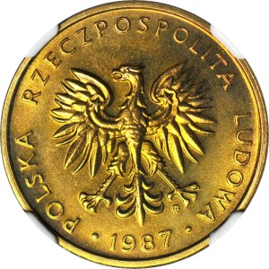 5 gold 1987, mint